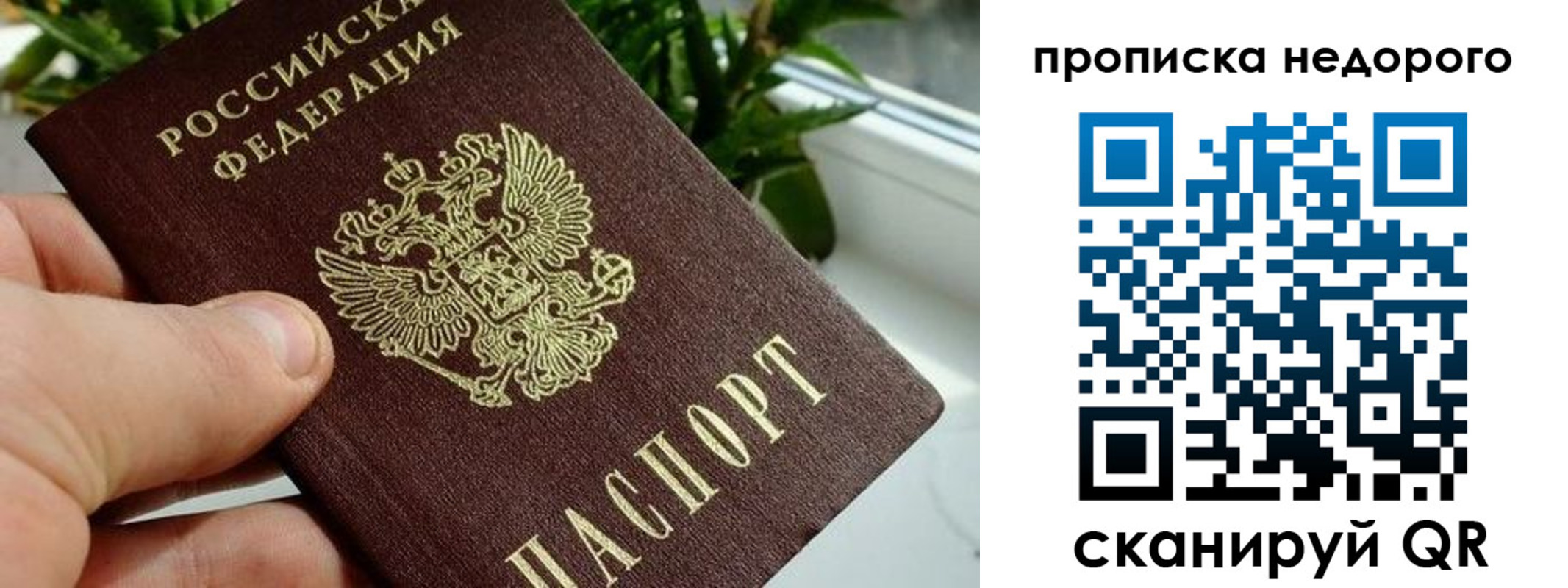 прописка для кредита в Торопеце